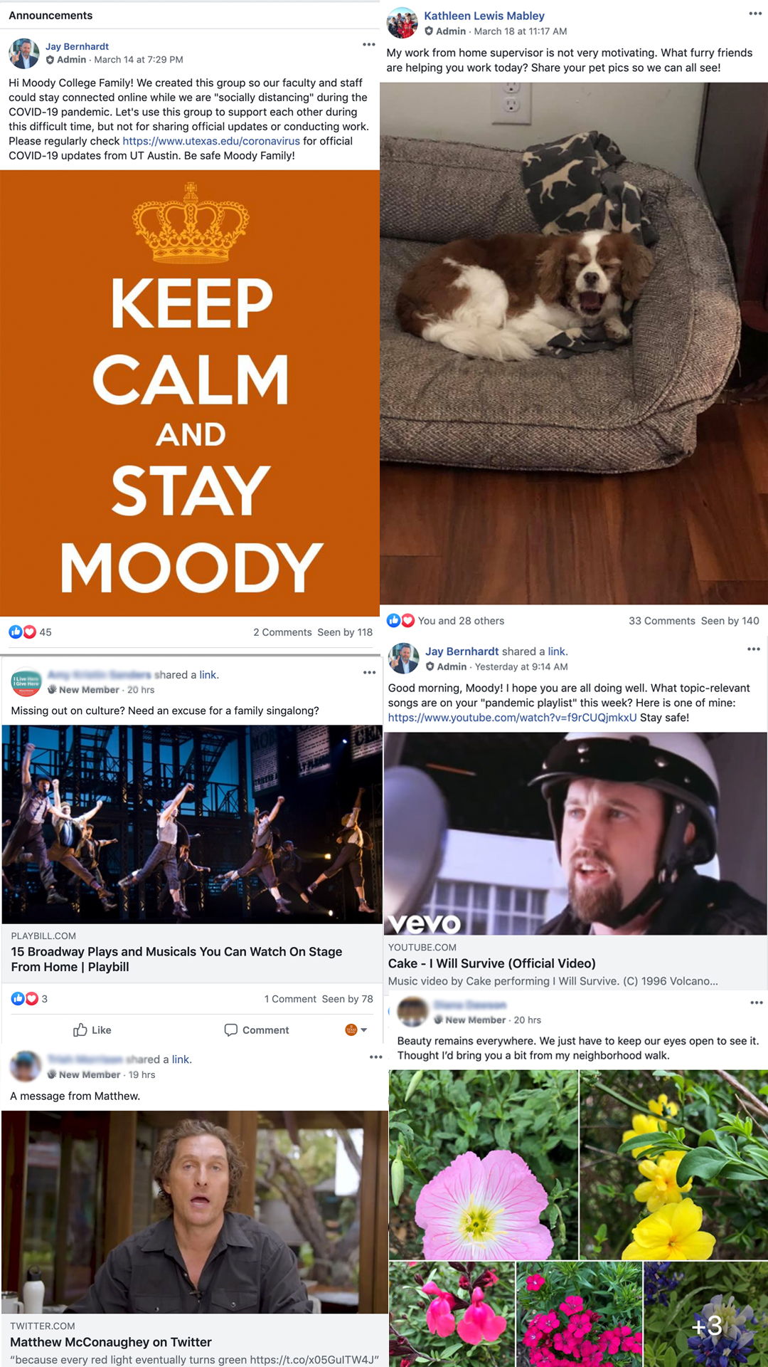 Moody College faculty staff facebook