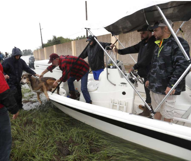 Hurricane Harvey Boat Rescue
