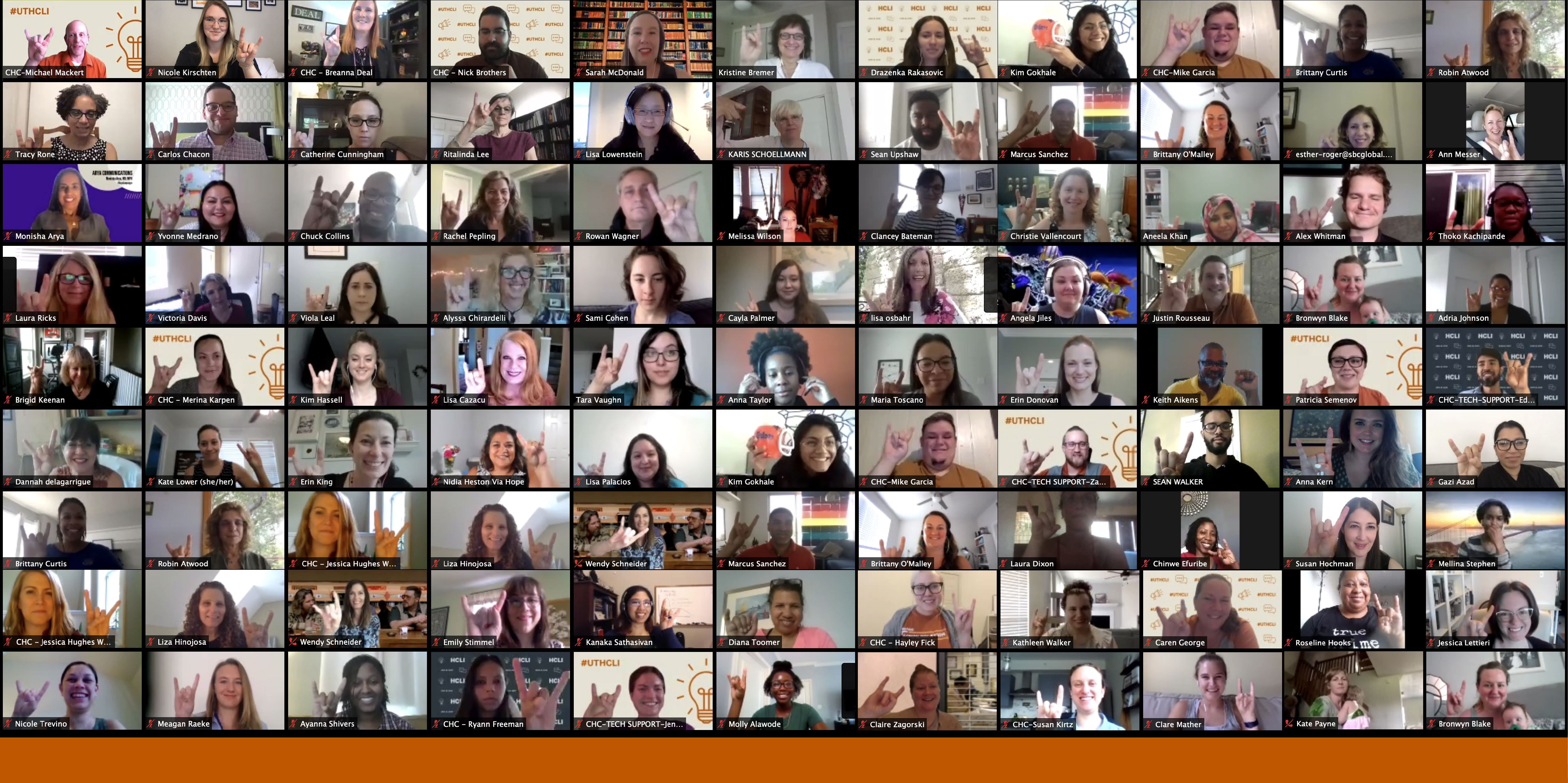 Screenshot of some of the Zoom attendees for the 2020 Virtual Health Communication Leadership Institute