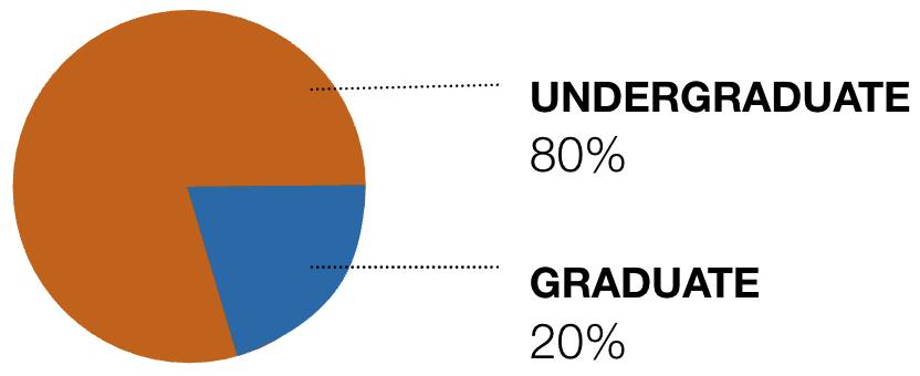 80% undergraduate, 20% graduate