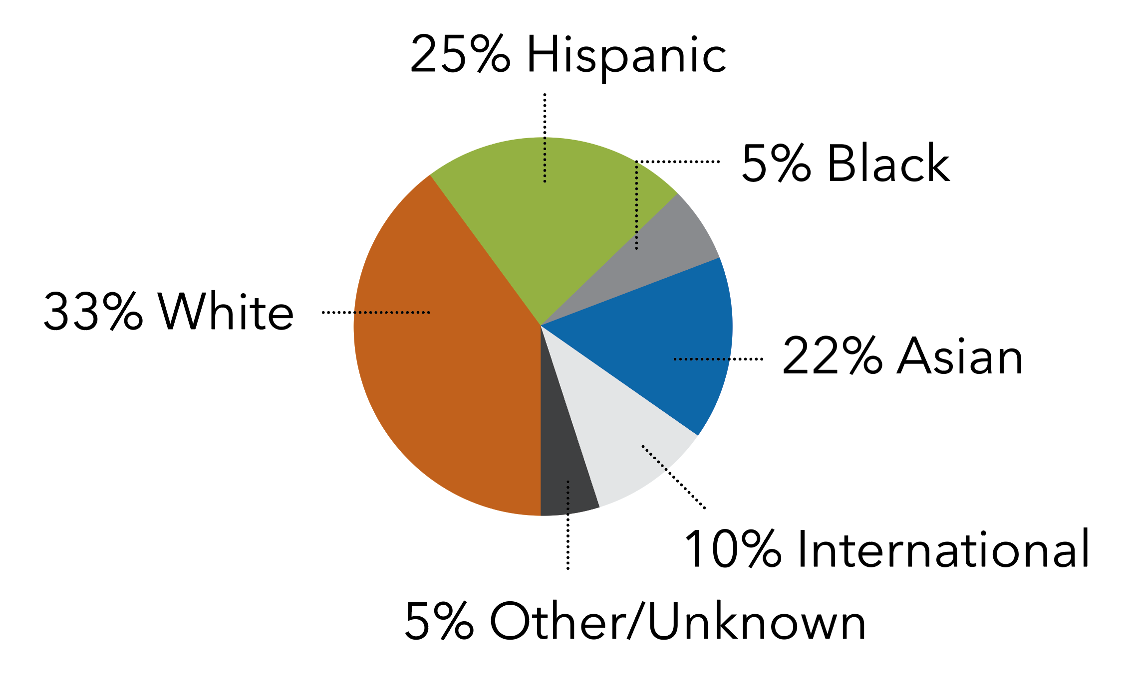 33% White, 25% Hispanic, 5% Black, 22% Asian, 10% International, 5% Other/Unknown