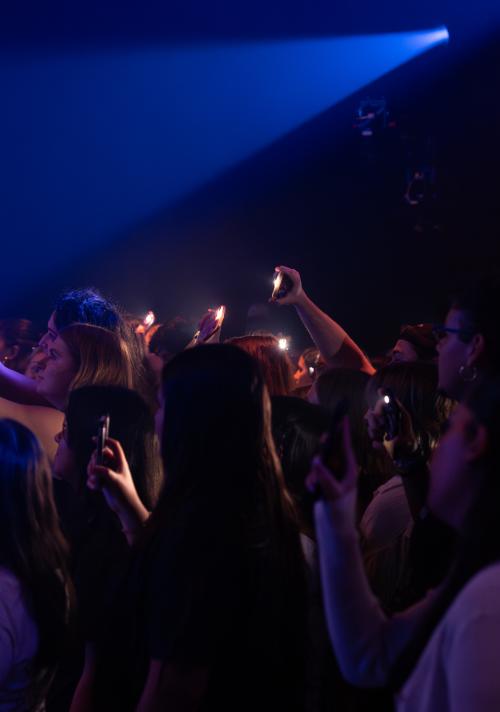 Audience at a Concert