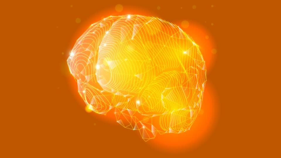 graphical representation of a brain without borders