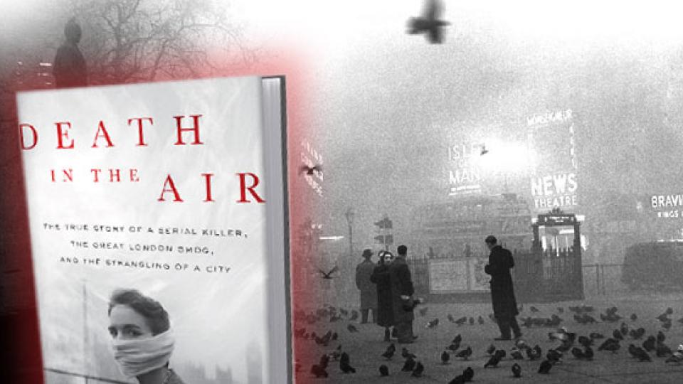 Death in the Air Book Thumb