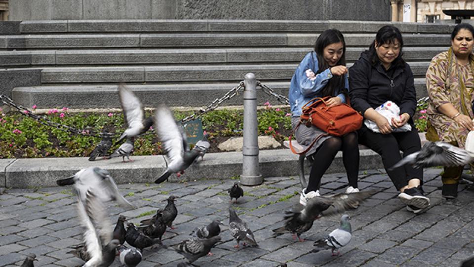 The Moody College of Communication Maymester focused on photographing the culture of Prague and other parts of the Czech Republic, such as the architecture, tourism, night and morning life, and local life.