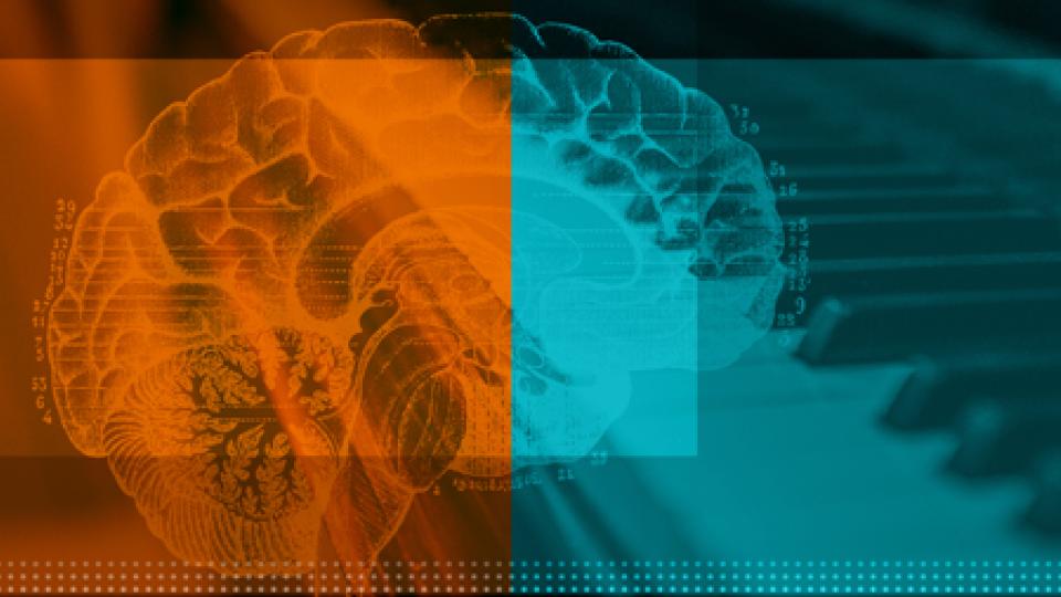 brain mapping