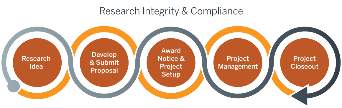 Graphic showing phases of research project 