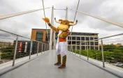 Hook em mascot on Moody bridge