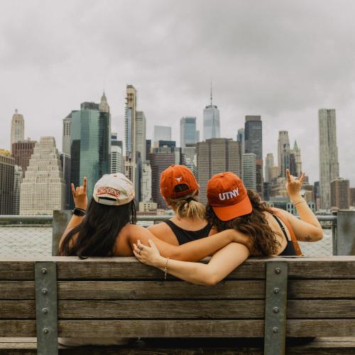 Students looking at NYC skyline