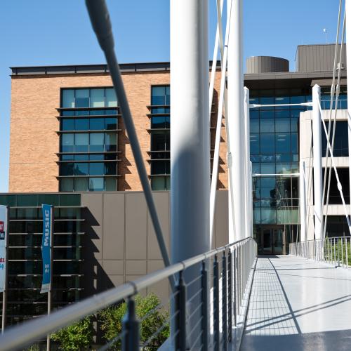 Moody College bridge