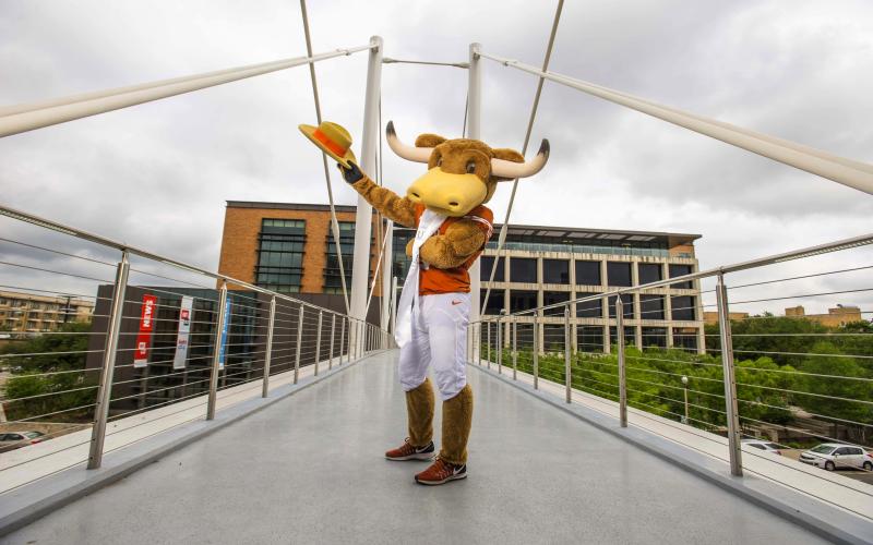 Hook em mascot on Moody bridge