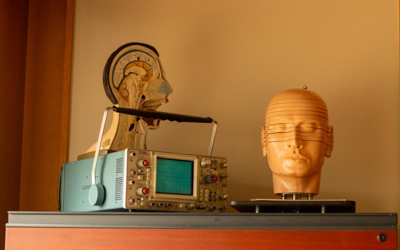 brain mannequin