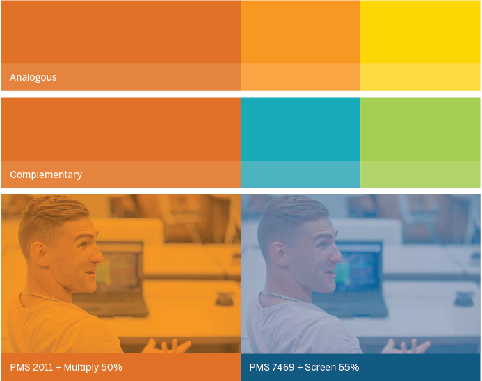 Examples of the color palettes in use, including screen and multiply overlays